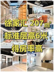 徐家汇 207㎡ 标准层高6米 得房率高 - 缩略图 1