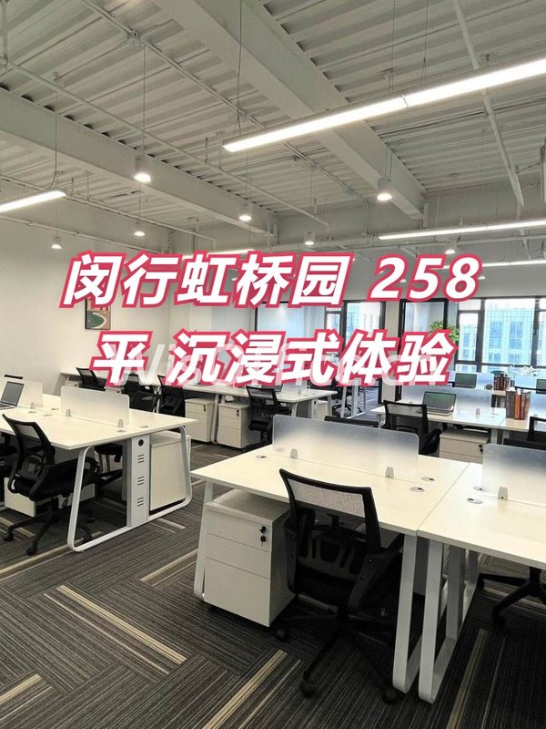 闵行虹桥园 258平 沉浸式体验 - 首图