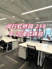 闵行虹桥园 258平 沉浸式体验 - 缩略图 1