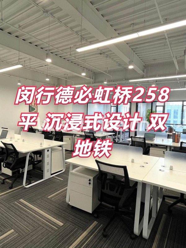 闵行德必虹桥258平 沉浸式设计 双地铁 - 首图