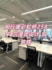 闵行德必虹桥258平 沉浸式设计 双地铁 - 缩略图 1