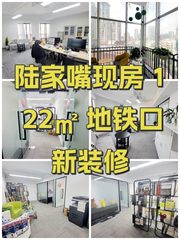 陆家嘴现房 122㎡ 地铁口 新装修 - 缩略图 1