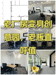 老厂房变身创意园，老板直呼值 - 缩略图 1