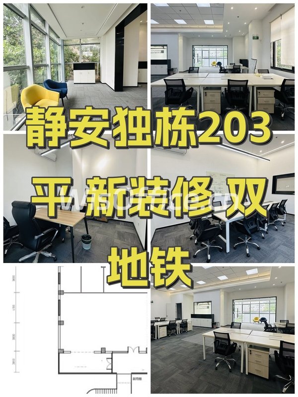 静安独栋203平 新装修 双地铁 - 首图