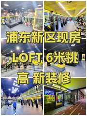 浦东新区现房 LOFT 6米挑高 新装修 - 缩略图 1