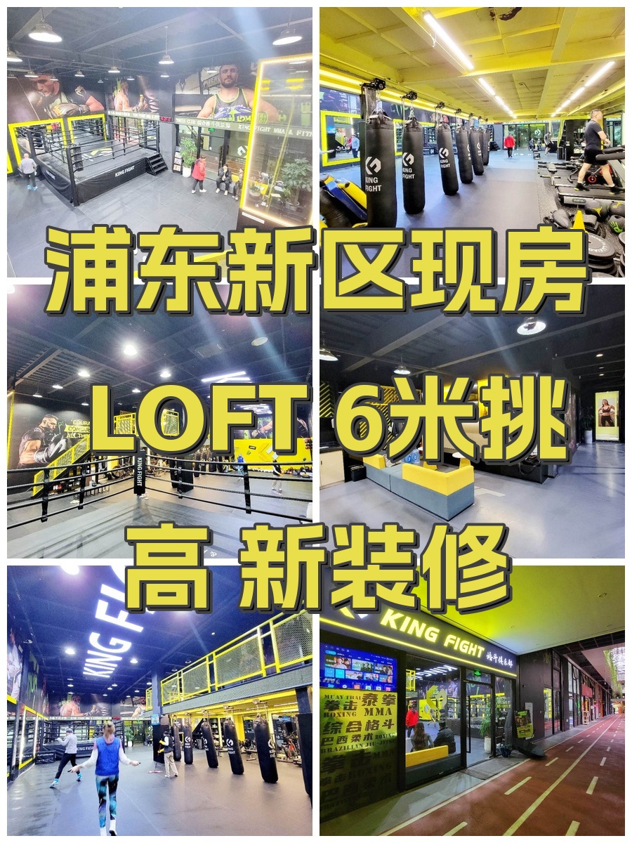 浦东新区现房 LOFT 6米挑高 新装修