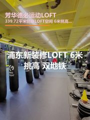 浦东新装修LOFT 6米挑高 双地铁 - 缩略图 1