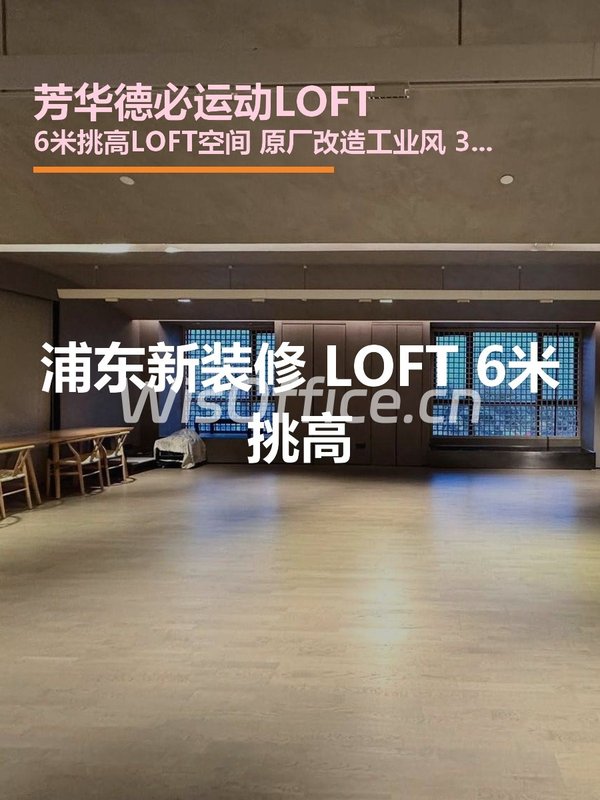 浦东新装修 LOFT 6米挑高 - 首图