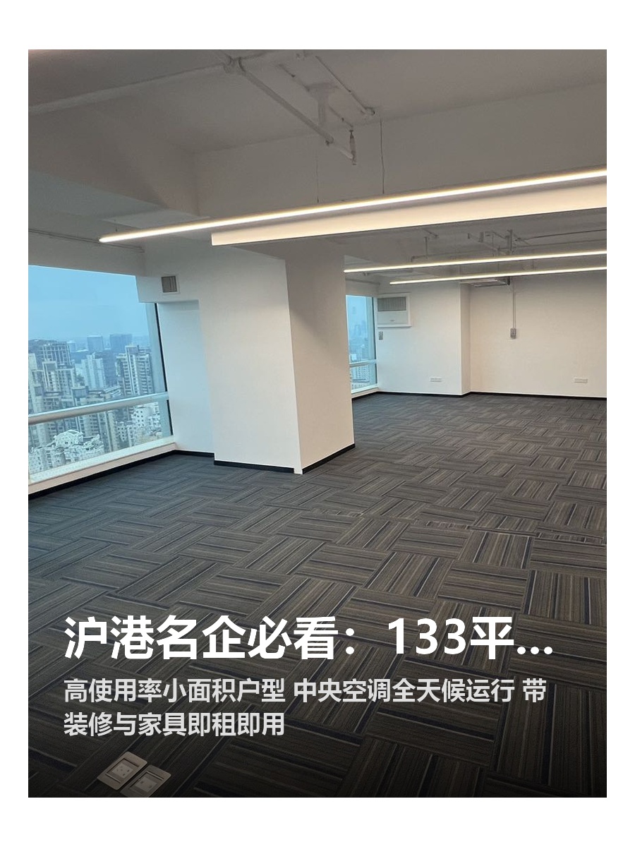 沪港名企必看：133平米稀缺户型