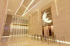 🌟光影里的奇迹，我的灵感源泉 - 缩略图 13