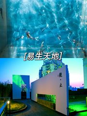 德必易园 | 创意绿洲 | 77平米工作室 - 缩略图 9