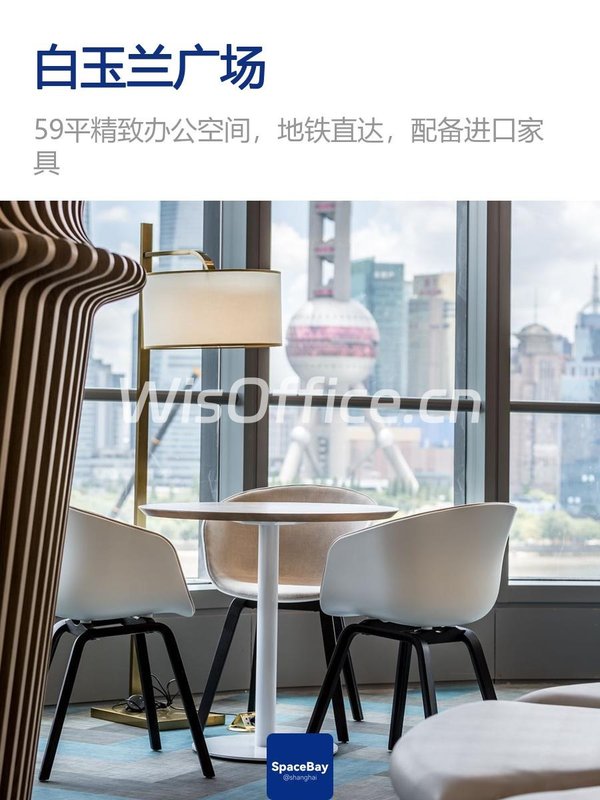 白玉兰传奇：浦东创业梦工厂 - 首图