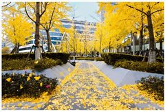 虹桥商务区天花板， KPMG总部 - 缩略图 13