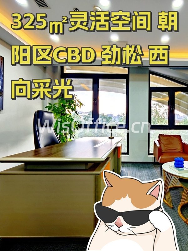 325㎡灵活空间 朝阳区CBD 劲松 西向采光 - 首图