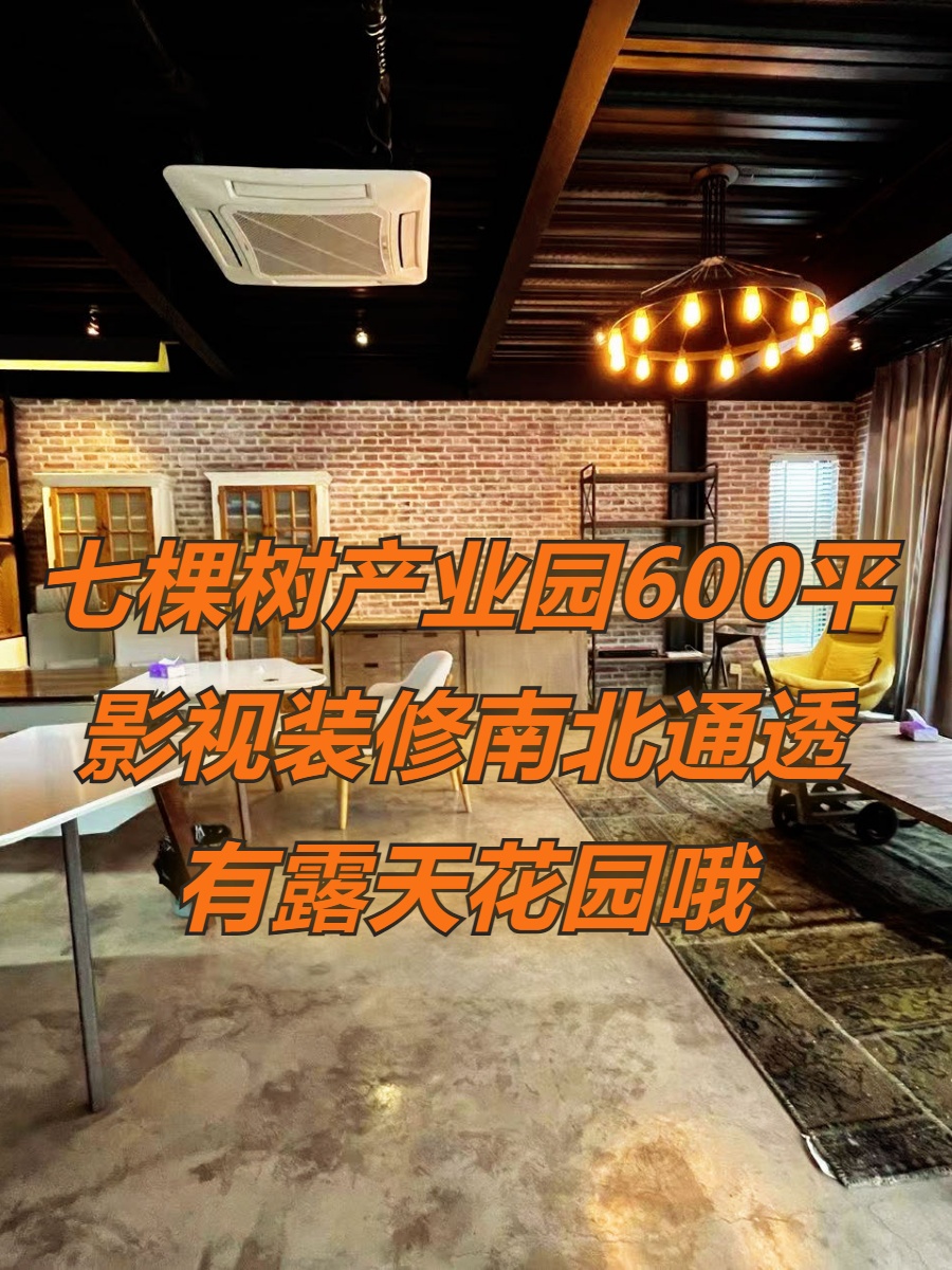 七棵树产业园600平影视装修南北通透