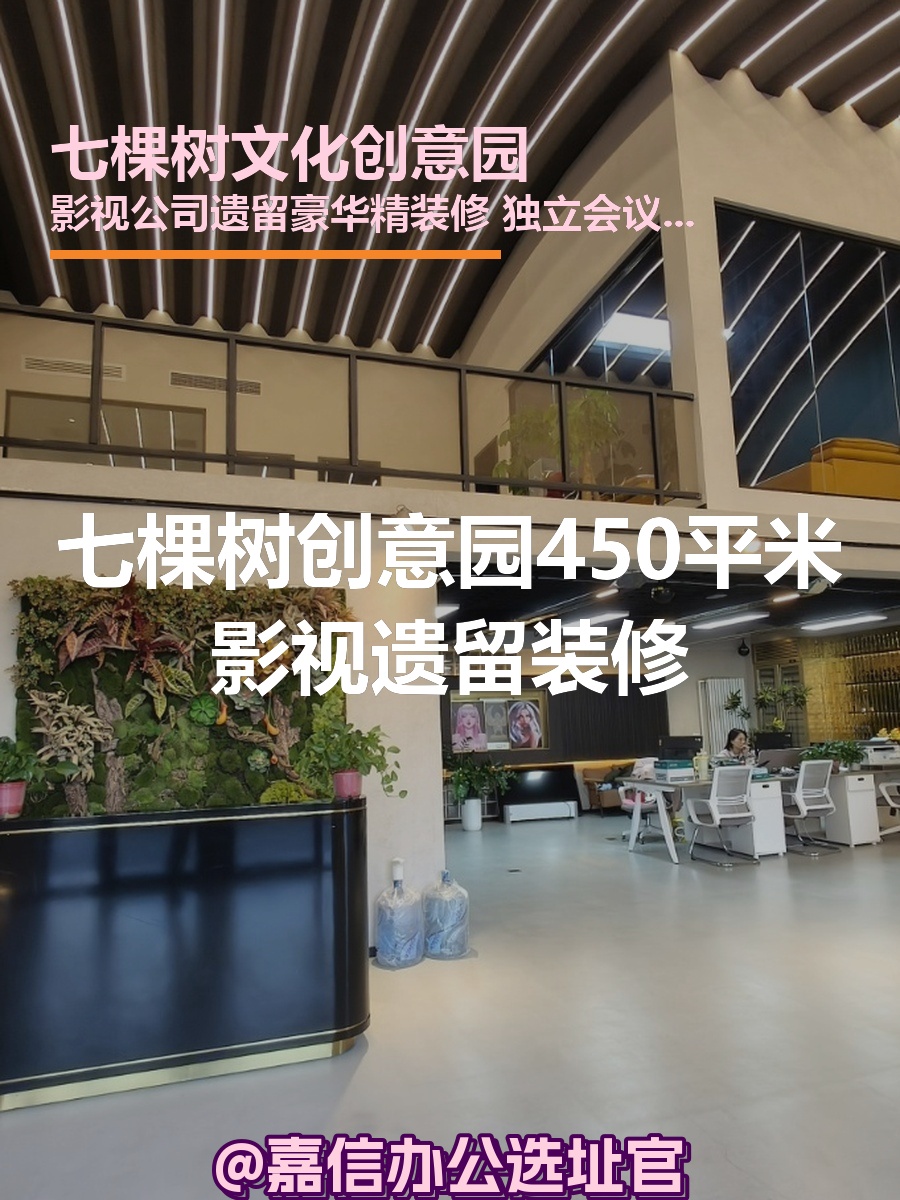 七棵树创意园450平米影视遗留装修