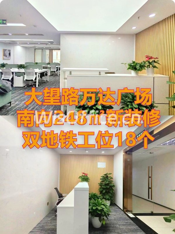 万达广场南向248㎡新装修双地铁工位18个 - 首图