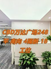 CBD万达广场248平 南向 4隔断 18工位 - 缩略图 1