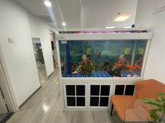 国贸万达，租金低至两杯咖啡价 - 缩略图 2