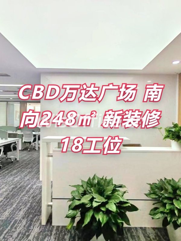 CBD万达广场 南向248㎡ 新装修 18工位 - 首图