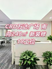 CBD万达广场 南向248㎡ 新装修 18工位 - 缩略图 1
