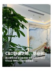 CBD静谧之地，基业长青首选 - 缩略图 1