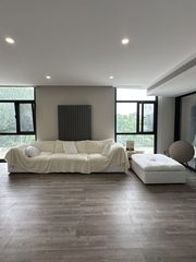 295㎡独栋带130平院子，地铁200米 - 缩略图 11