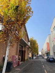 东五环独栋送露台办公室实景图 6