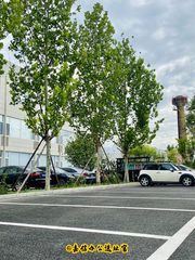 东五环独栋送露台办公室实景图 5