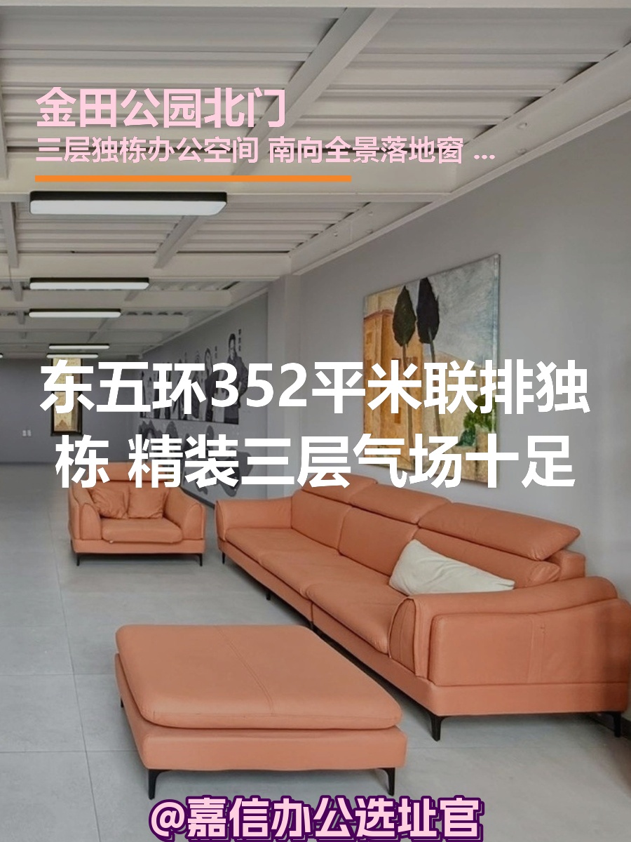 东五环 | 联排独栋 | 精装交付？