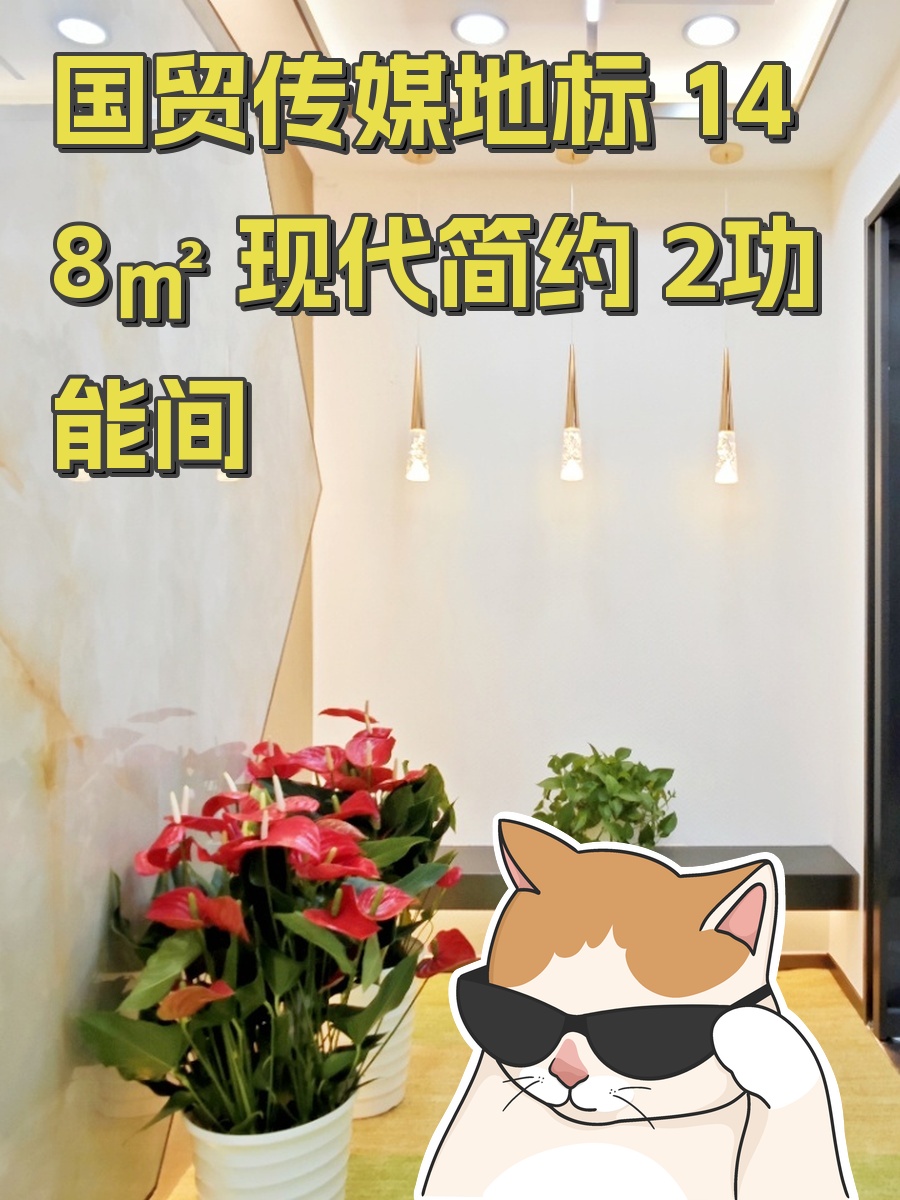 国贸传媒地标 148㎡ 现代简约 2功能间