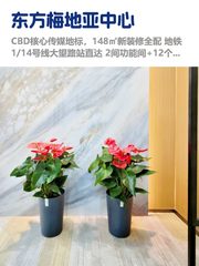 国贸CBD，租金低至两杯咖啡价 - 缩略图 1