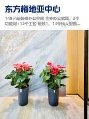 CBD国贸，租金低至一杯咖啡钱 - 缩略图 1