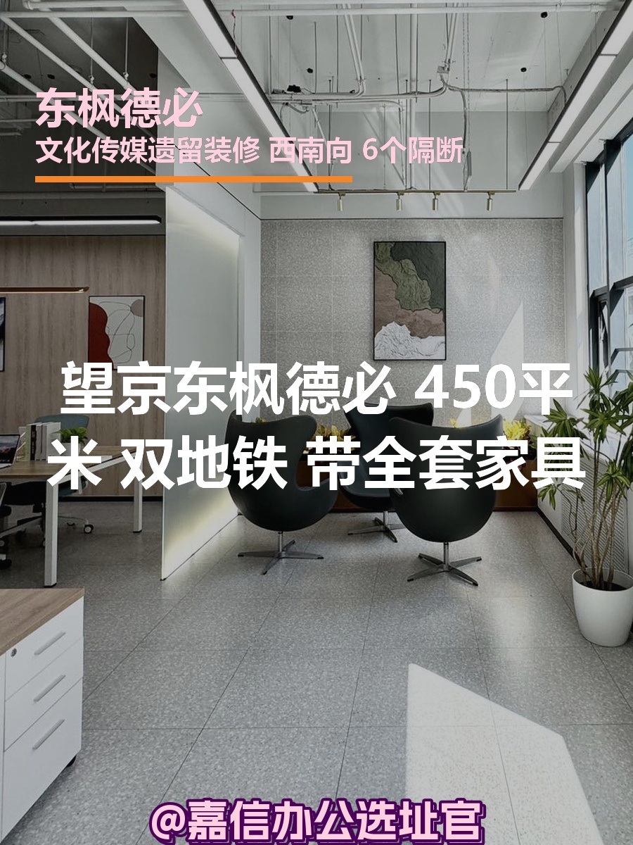东枫德必 450平米 双地铁 带全套家具