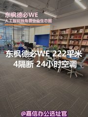 东枫德必WE 222平米 独栋新装 4隔断 - 缩略图 1