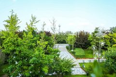 望京737平独栋办公 4.2米层高 14号线直达 - 缩略图 8