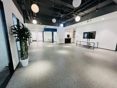 东枫德必WE 独栋花园院 353平米 - 缩略图 2