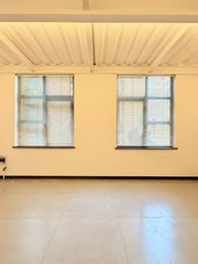 传媒大学独栋425㎡ 红砖复古 三面采光 - 缩略图 4