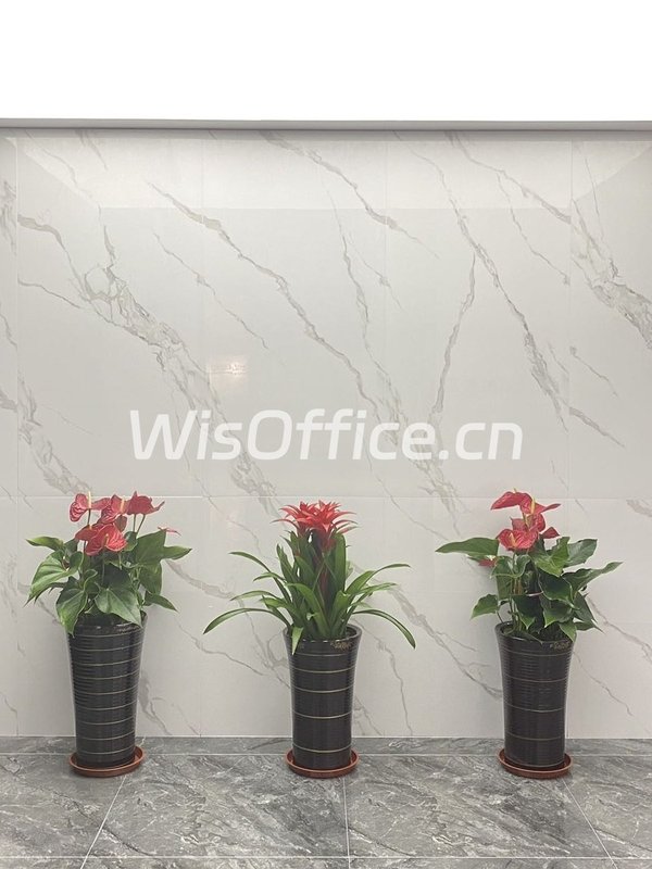 东四环225㎡精装空间 本月签约免租期可谈 - 首图