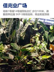 大望路地铁口，租金低至一杯咖啡价 - 缩略图 1