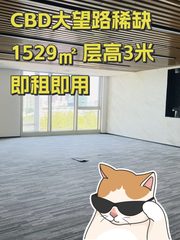 CBD大望路稀缺 1529㎡ 层高3米 即租即用 - 缩略图 1