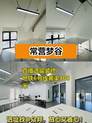 常营梦谷 120平米 北欧工业风 现房 独栋 - 缩略图 1