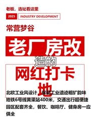 老厂房改造的网红打卡地 - 缩略图 1