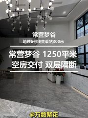 常营梦谷 1250平米 空房交付 双层隔断 - 缩略图 1