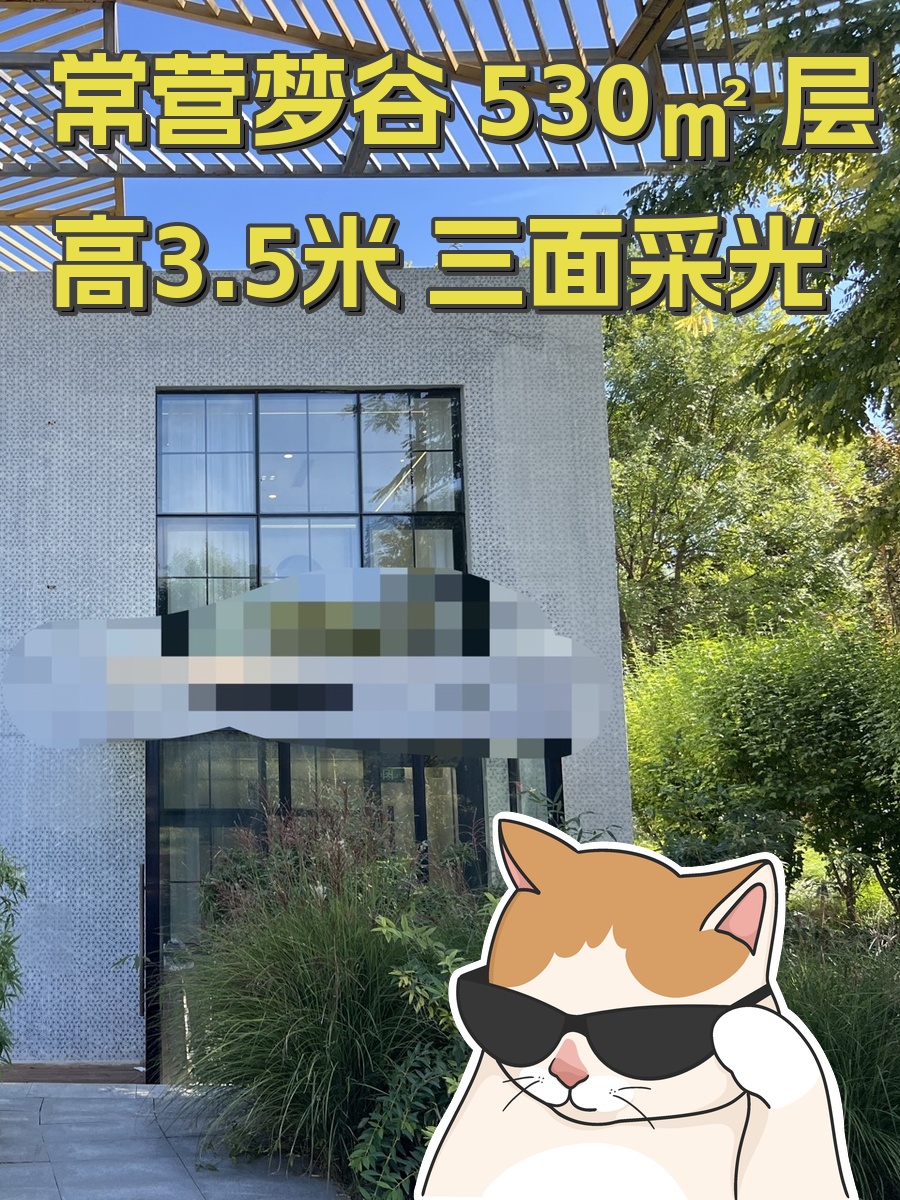 常营梦谷 530㎡ 层高3.5米 三面采光