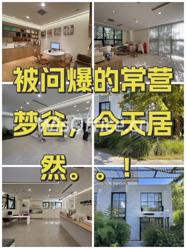 被问爆的常营梦谷，今天居然。。！ - 首图