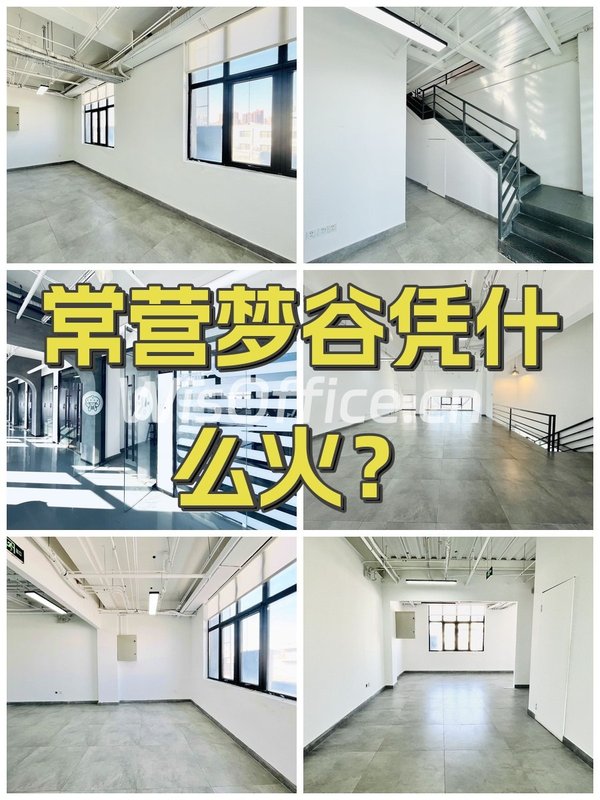 常营梦谷凭什么火？ - 首图