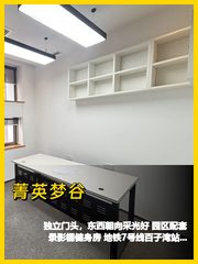 380平独栋，我好喜欢这采光 - 缩略图 1