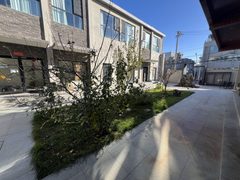 推荐元色商务花园132平独栋带独立门头 - 缩略图 2