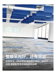 整层采光好，还有露台赠送 - 缩略图 1